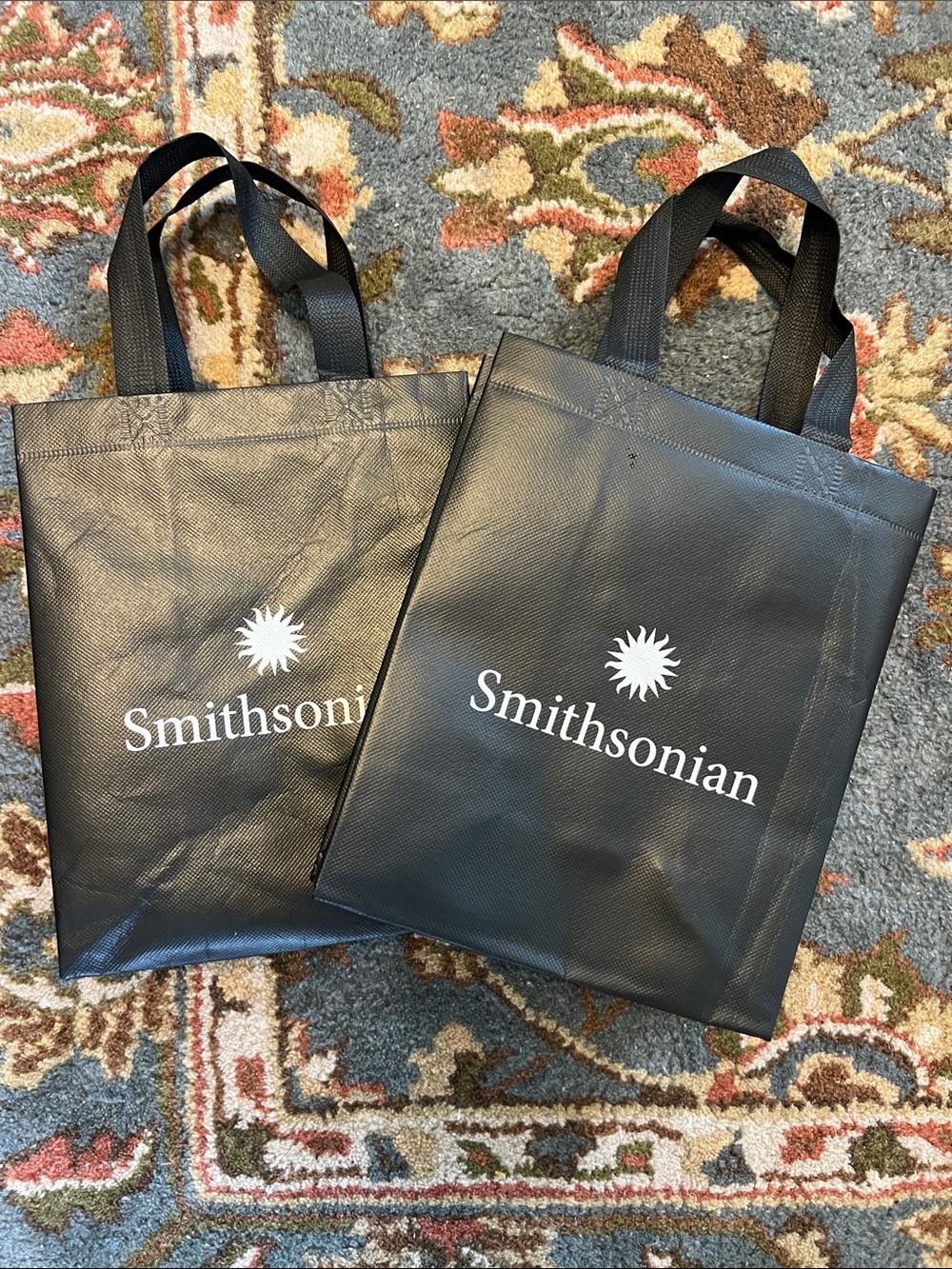 Pair of Smithsonian Institution Museum Small Black Reusable Shopping Bags DC